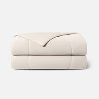 Snow Ivory