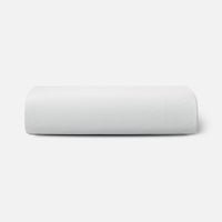 Arctic White