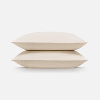 Snow Ivory